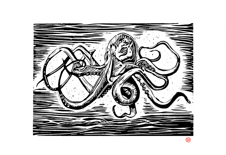 Octopus Lino